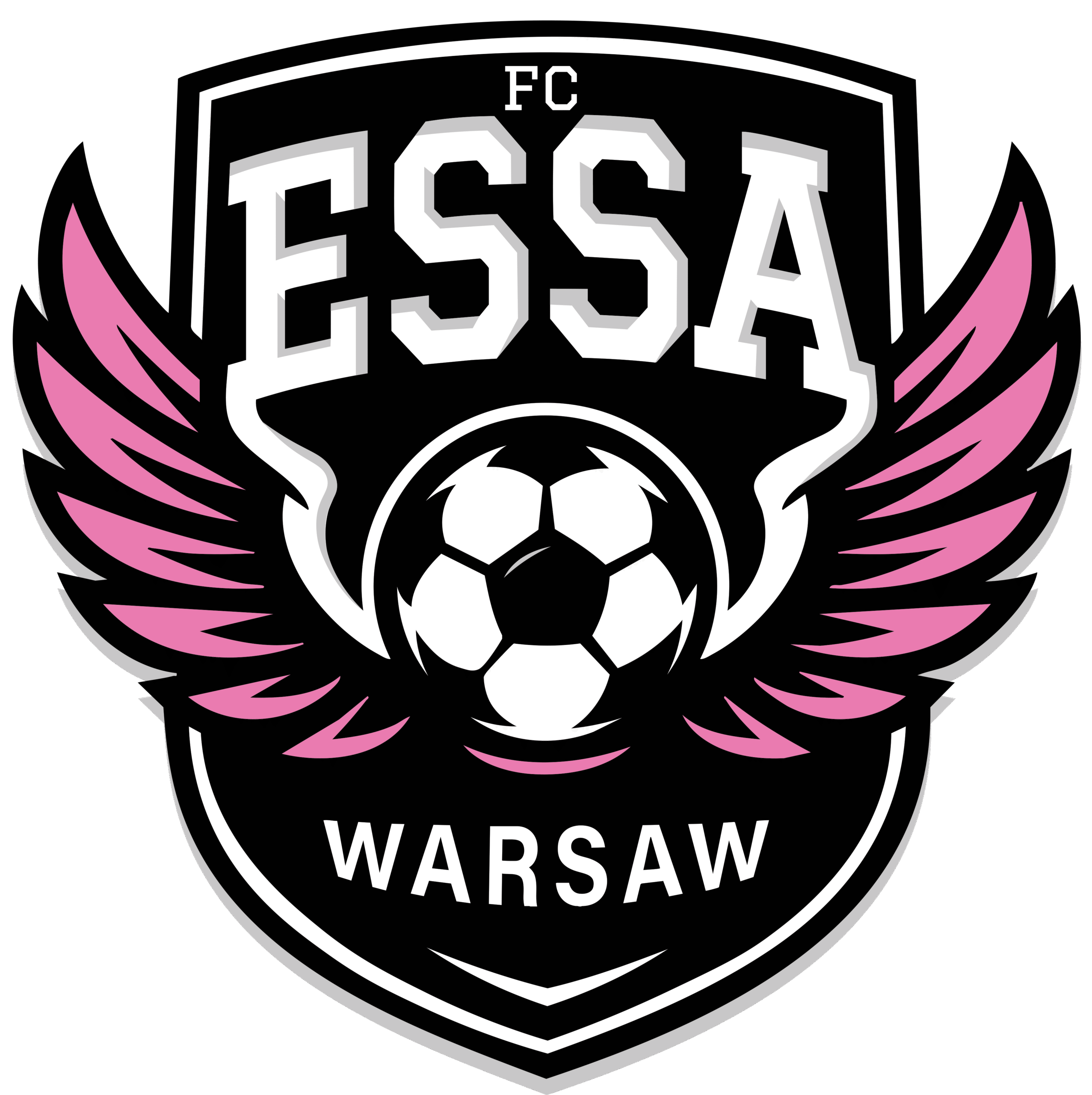 logo-essa